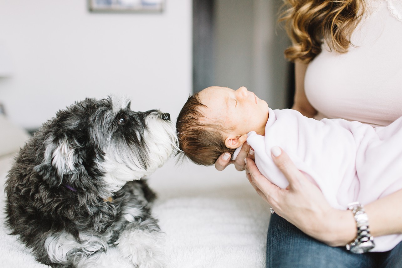 What to Expect for Your Newborn Photography guide by Mai Fotography - mama holding a newborn girl and a dog is kissing the baby's head