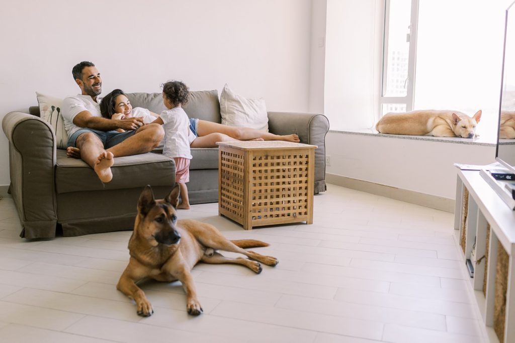 pregnant couple and toddler relaxing in their living room while their dogs lounge around for an in-home family session