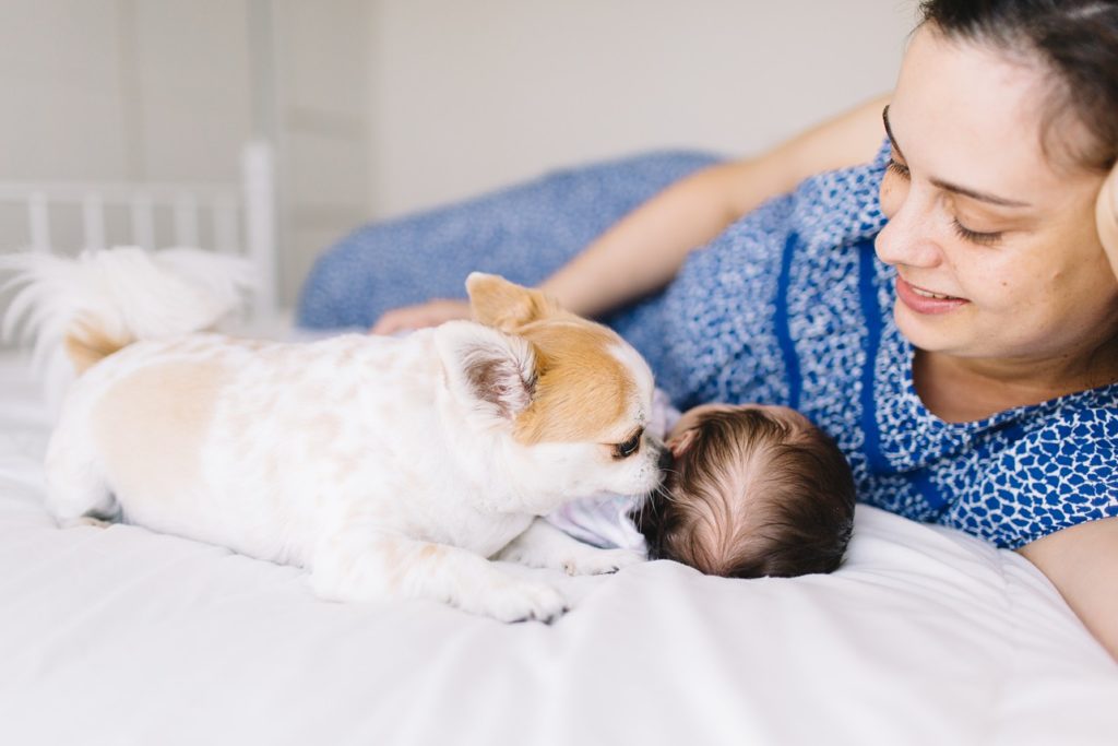 on the bed mom is smiling while a small dog is kissing newborn baby's head